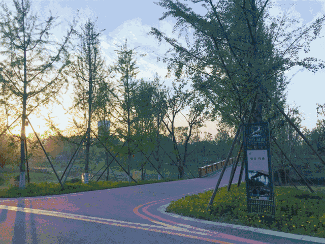 开发者社区动态显示，区块链技术开启全新生态布局