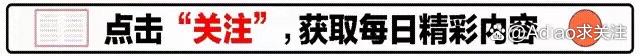 专家认为，DAO引发社区热议的简单介绍