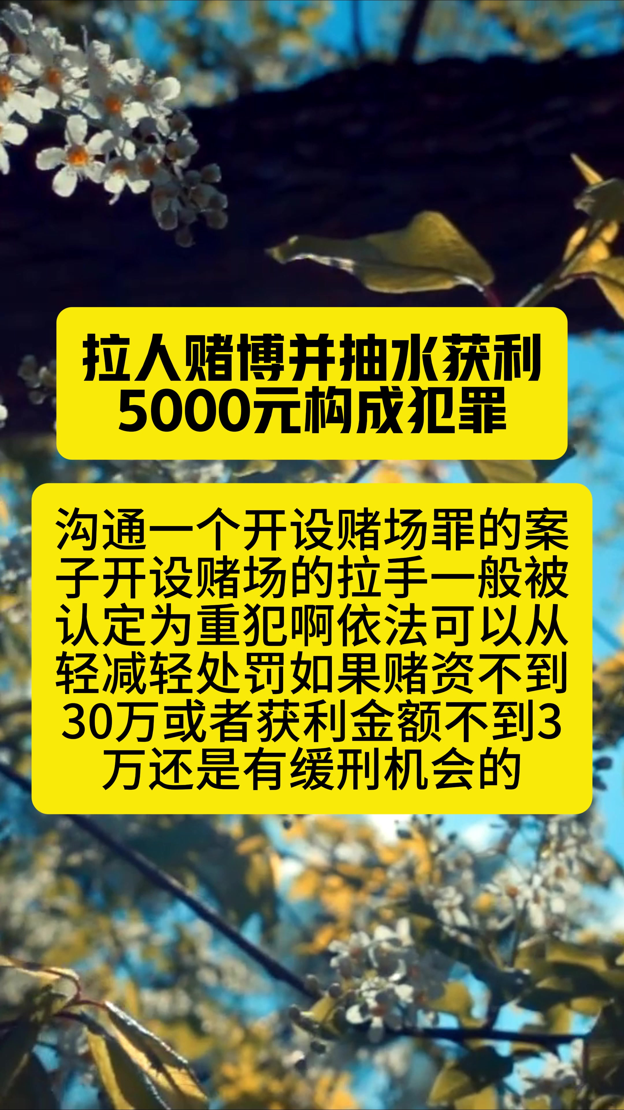 TRON骗局案件真相浮出水面，已有超15.01人被骗！